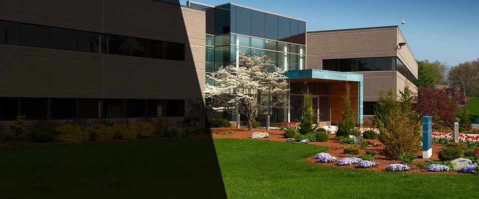 Casa Grande Landscapers