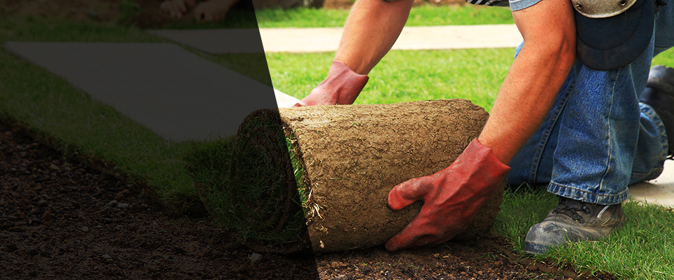 Casa Grande Landscapers